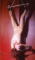 �m���m�t���݂�摜